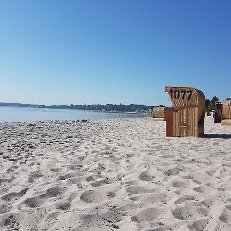 Zwergtaucher Eckernförde Exterior foto